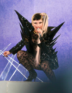 lady gaga concierto de 2011