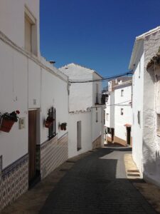 alcaucín