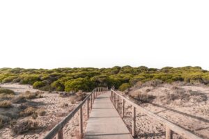 Qué ver en Punta Umbría Turismo y Playas