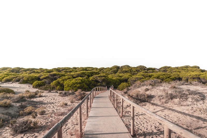 qué ver en punta umbría